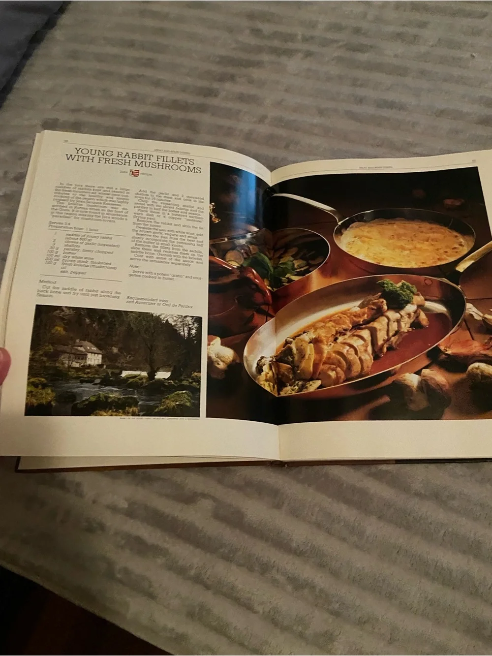 Vtg Culinary Art Traditions Switzerland Cookbook/Swiss Culture Food Recipes HC